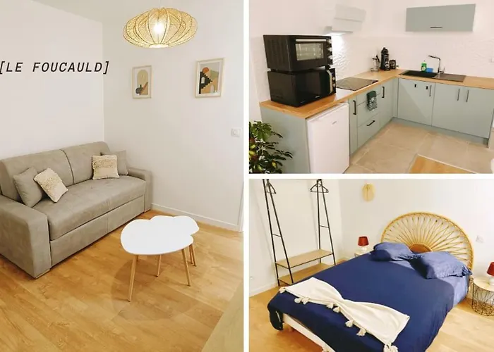 Apartment Le Foucauld 4 Canapes, Parking, Wifi Lourdes