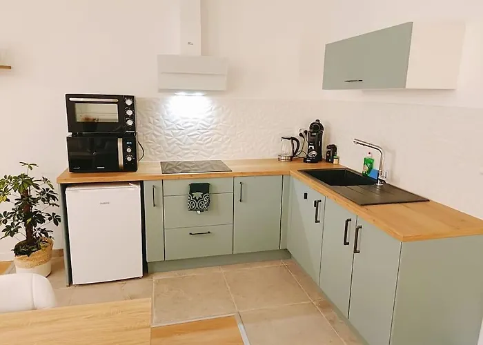 Le Foucauld 4 Canapes, Parking, Wifi Apartment Lourdes