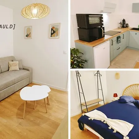 Appartamento Le Foucauld 4 Canapes, Parking, Wifi Lourdes